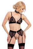 Abierta Fina Bra and Suspender Set | Angel Clothing