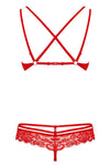 Obsessive Red Bra and Thong Set | Angel Clothing