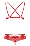 Obsessive Red Bra and Thong Set | Angel Clothing